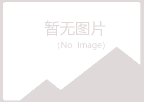 包头青山苍白会计有限公司